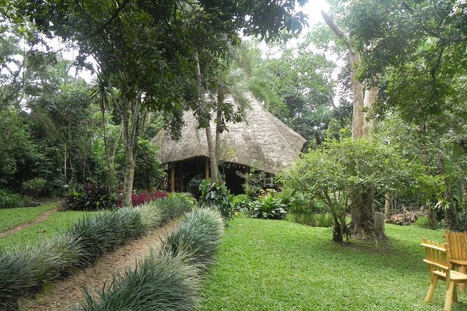 7 Days Flying Gorillas and Wildlife Safari Uganda Private Tour - Day 5: Ishasha and the search for tree-climbing lions