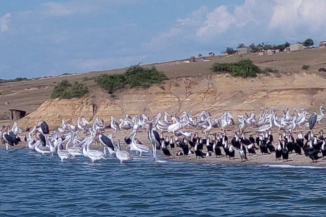 7 Days Fort Portal Culture Tour Western Uganda - Queen Elizabeth National Park by road and water