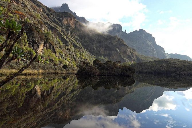 7 Days Rwenzori Summit (Margherita Peak) Hike - Starting at Nyakalengija and climbing to Nyabitaba Hut