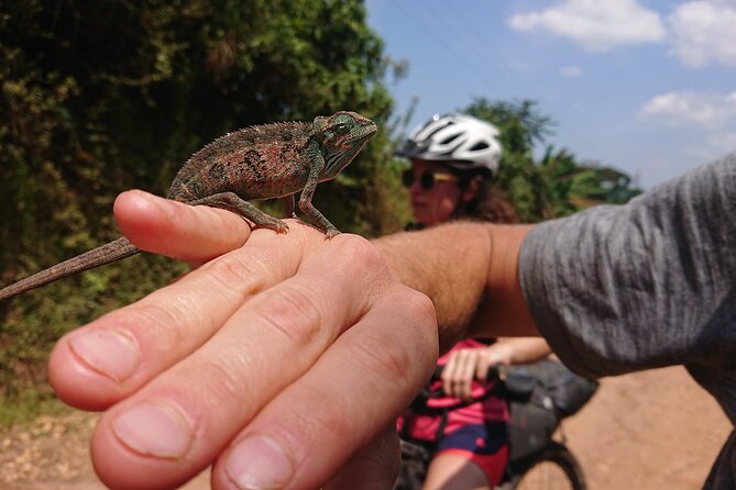 7 Hours Guided Cycling Tour to Sezibwa Waterfalls - Riding the peninsula on dirt roads
