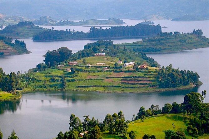 8-Day Murchison Falls, Chimp and Epic Gorilla Trekking - Day 5: Queen Elizabeth’s evening game drive