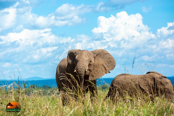 8 Days Gorillas, Primates & Wildlife Safari Uganda Safari - Day 3: Crater views and Queen Elizabeth