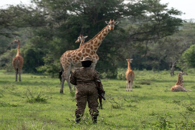 8 Days Uganda Primates Safari - Entebbe arrival and the first quiet night