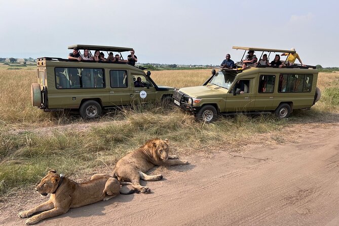 9 Days Uganda Wildlife Safaris, Gorilla Trekking & Hiking - Day 1: A soft landing in Entebbe
