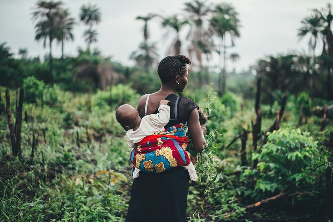 9 Days Uganda Wildlife Safaris, Gorilla Trekking & Hiking - Day 8: Gorilla trekking in Bwindi