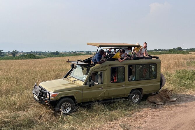 9 Days Uganda Wildlife Safaris, Gorilla Trekking & Hiking - Day 3: Game drive and Nile cruise in Murchison Falls