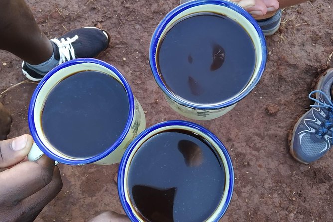 Coffee Tour Experience - Meeting William and the Discover Sipi team
