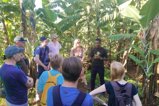Coffee Tour Experience - How the timing fits your day