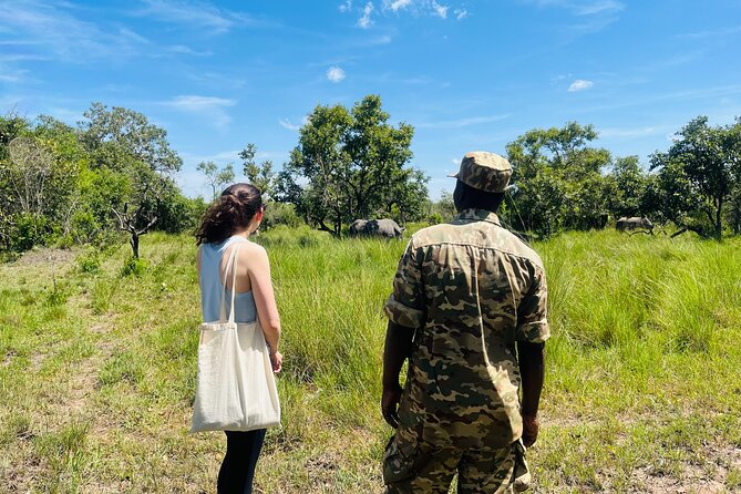 Day Tour Of Ziwa Rhino Sanctuary and Wildlife Ranch - ZIWA RHINO TREKKING - Four hours on foot in white rhino territory