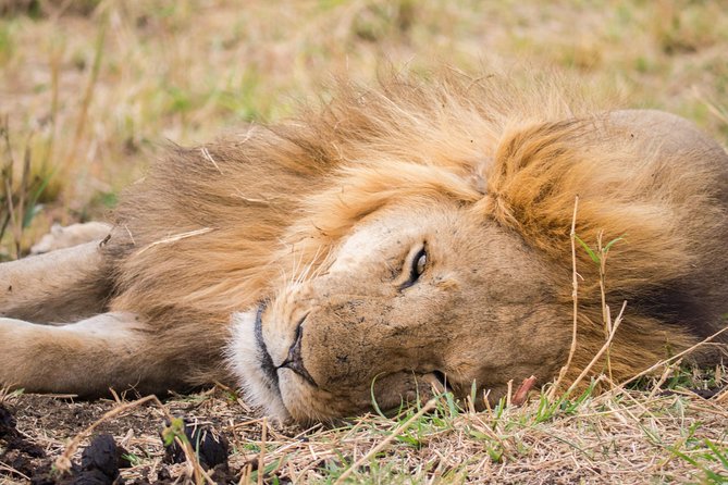 Eight days cultural and wildlife tour in Uganda - The long road to Kidepo Valley
