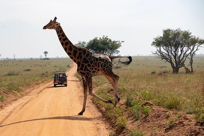 Entebbe Airport pickup (Entebbe - Kampala) reliable 24/7 transfer - Cancellation and weather terms