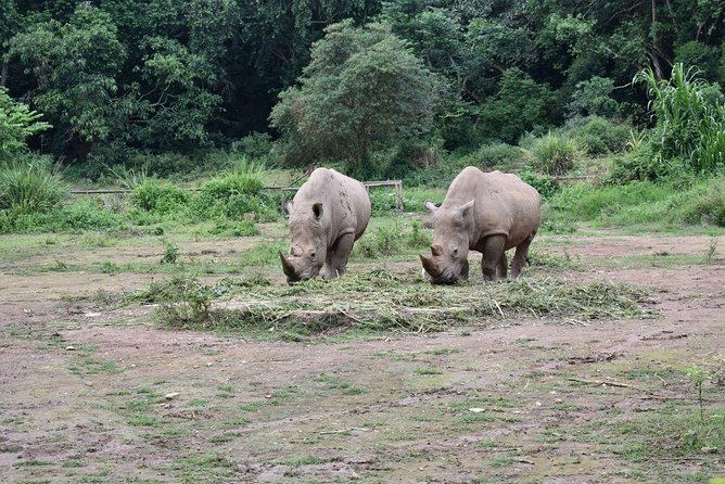 Entebbe Eco Tour - Full Day - Uganda Reptile Village, where conservation gets close