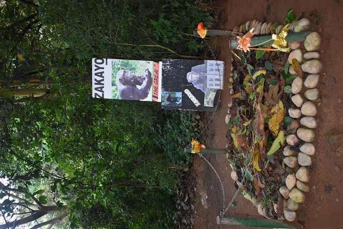 Entebbe Eco Tour - Full Day - Kigungu and the arrival of Catholicism in Uganda