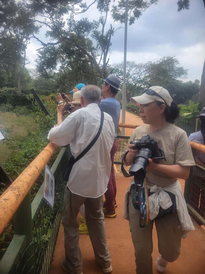 Entebbe: Female-Led Guided Walking Tour - Entebbe Market: fruit, trade, and a possible Rolex