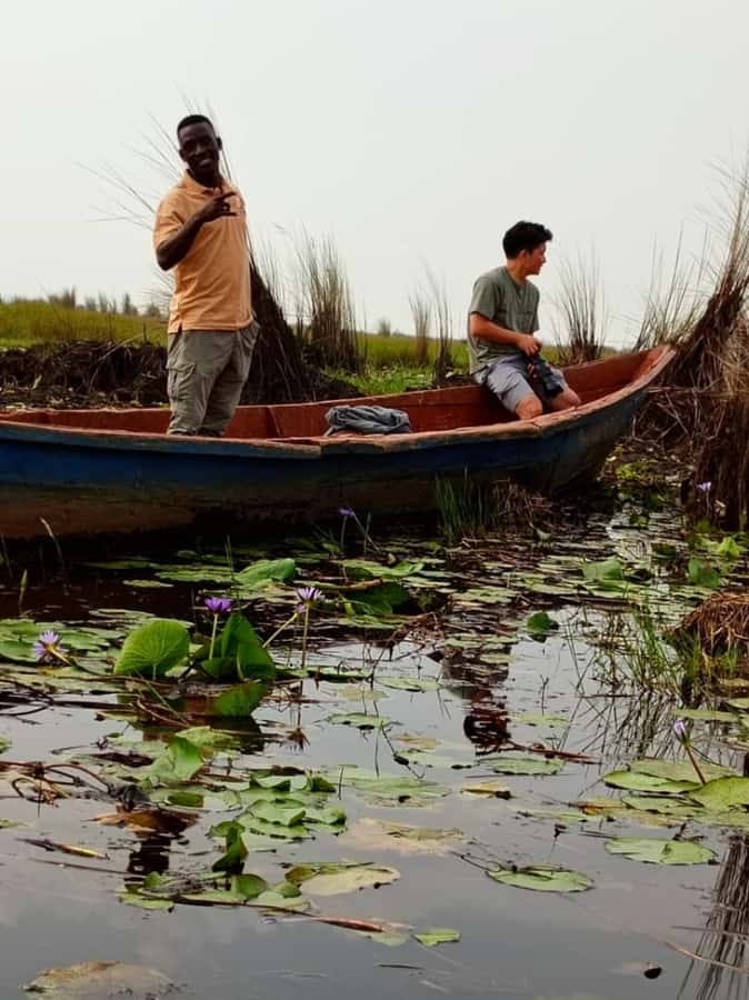 Entebbe: Mabamba Swamp Shoebill Tracking Boat Tour - The birds you may see beyond the Shoebill