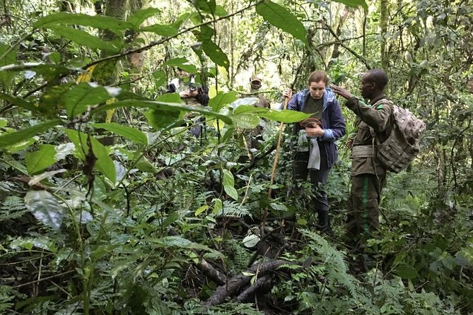 Experience Chimpanzee Trekking in Budongo Forest - Forest plants and other primates along the trail