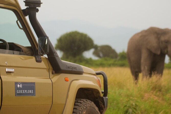 Exploring The Mighty Falls In Uganda - Private travel changes the experience