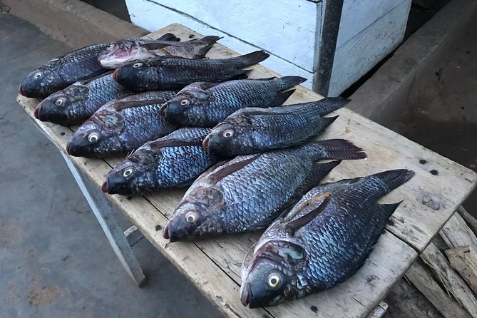 Fishing Village Food Tour & Luwombo Stop - Private transport makes the outing easier