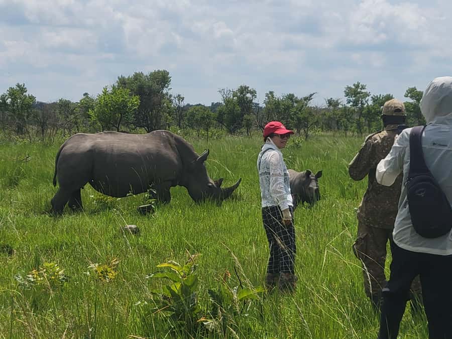 From Kampala: Ziwa Rhino Sanctuary Day Tour with Lunch - Walking among the rhino families