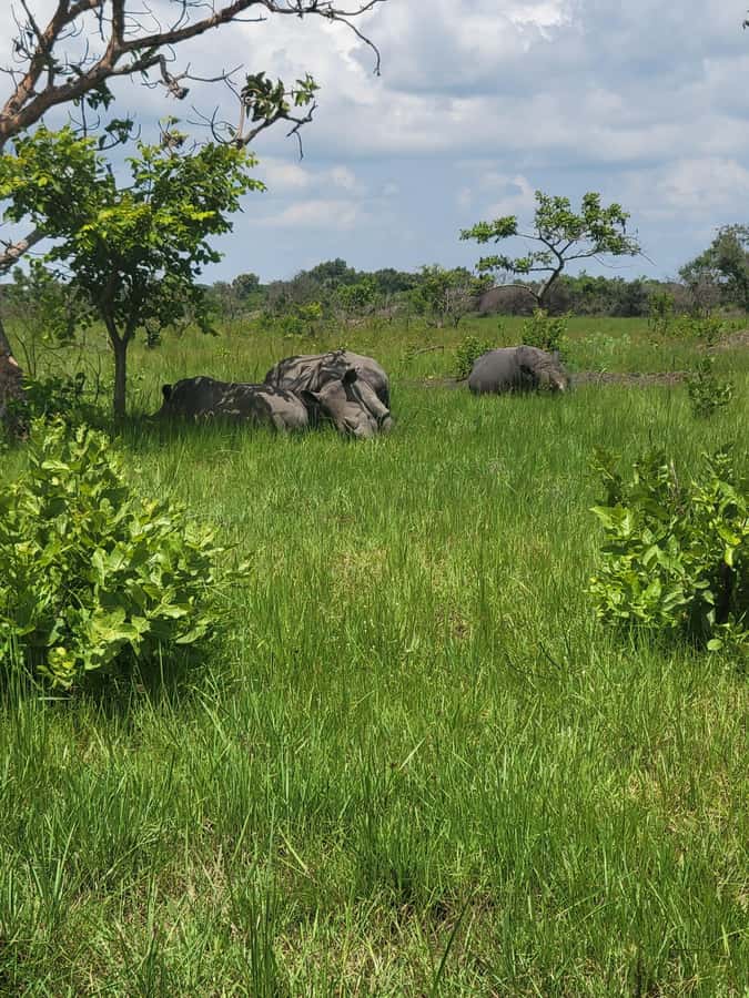 From Kampala: Ziwa Rhino Sanctuary Day Tour with Lunch - How the schedule can change