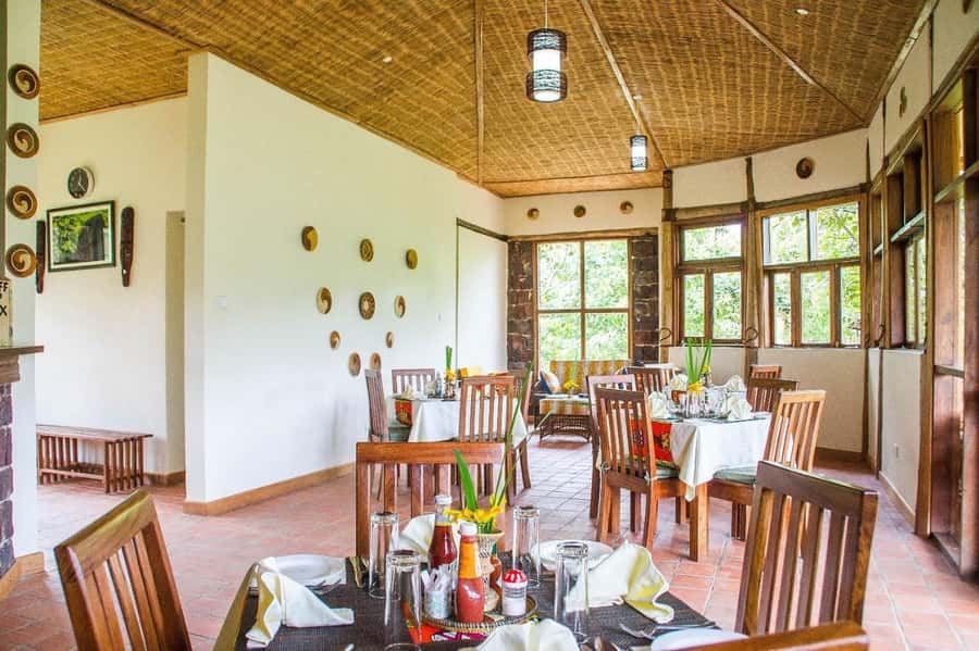 From Kigali: 2-Day Gorilla Trek: Bwindi Nat Park - The return to Kigali is the hardest part
