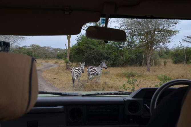 Full-Day Lake Mburo National Park Safari with Boat trip (2 day option available) - The early road from Kampala to the park