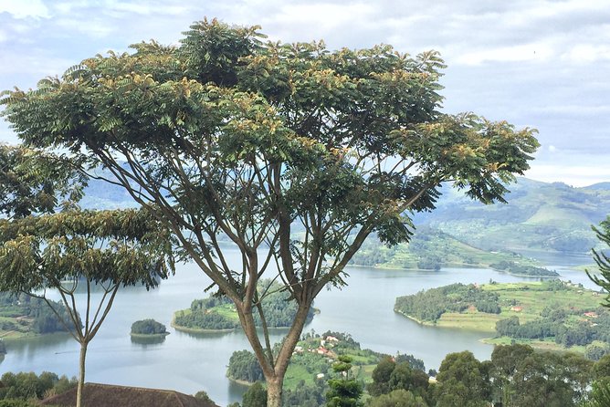 Gorilla and chimp experience holiday - Longer itineraries can add safari, rivers, and local life