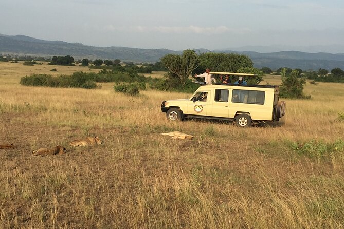 Gorilla & Chimpanzee Trekking in Uganda - 5 Days - Why this five-day Uganda route works