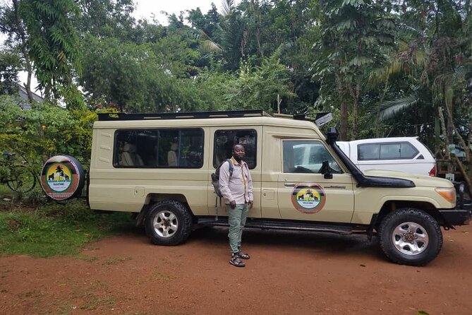 Gorilla & Chimpanzee Trekking in Uganda - 5 Days - Day 4: The gorilla trek in Bwindi
