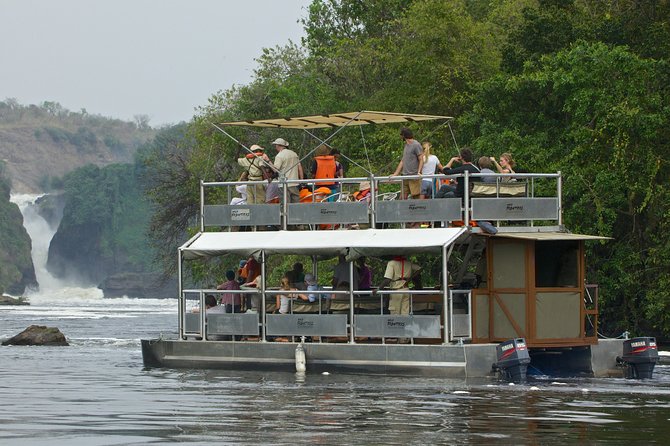 Guided Safari to Murchison Falls from Masindi - The park drive and the hunt for wildlife