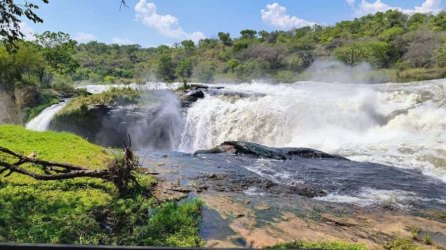 Kampala: 3-Day Murchison Falls Safari - Day one: reaching the falls and hiking above the Nile