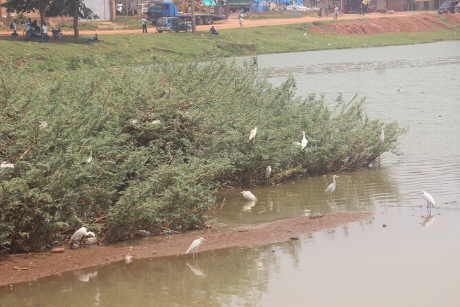 Kampala cultural tours - Kabaka’s Lake and Kampala beyond the monuments