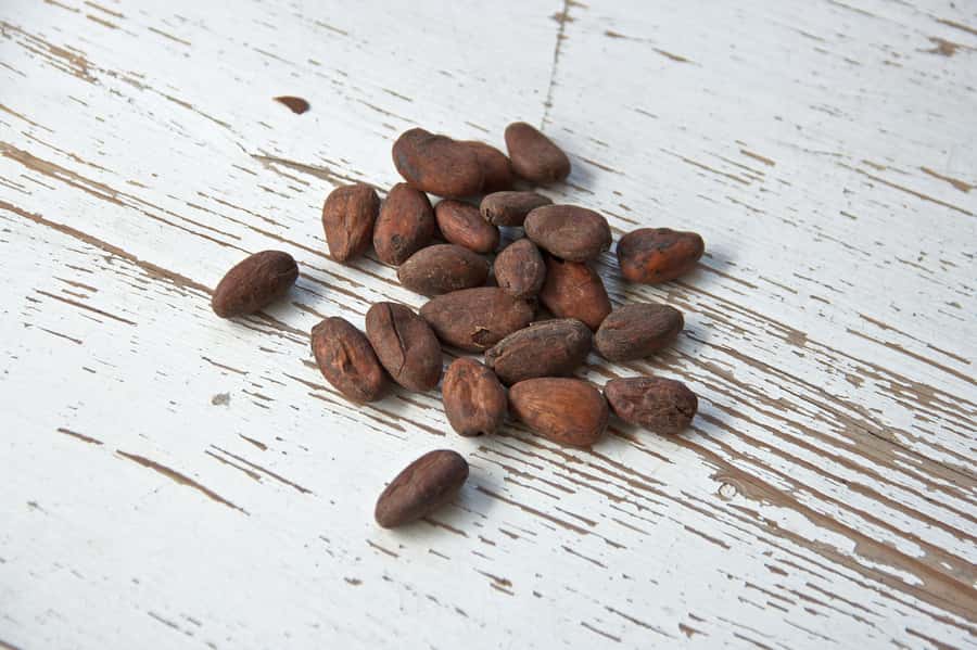 Kampala: Hands-On Chocolate Making Experience - Getting to the meeting point