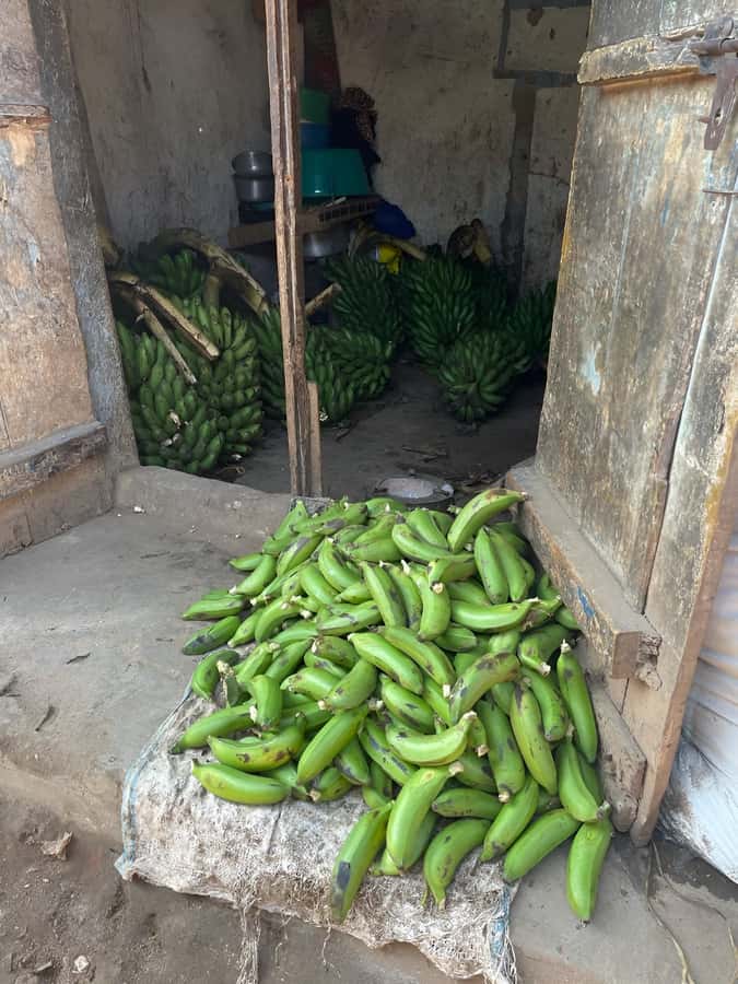 Kampala: Katanga Slum Guided Walking Tour - Starting at Kitenji and walking toward Wandegeya