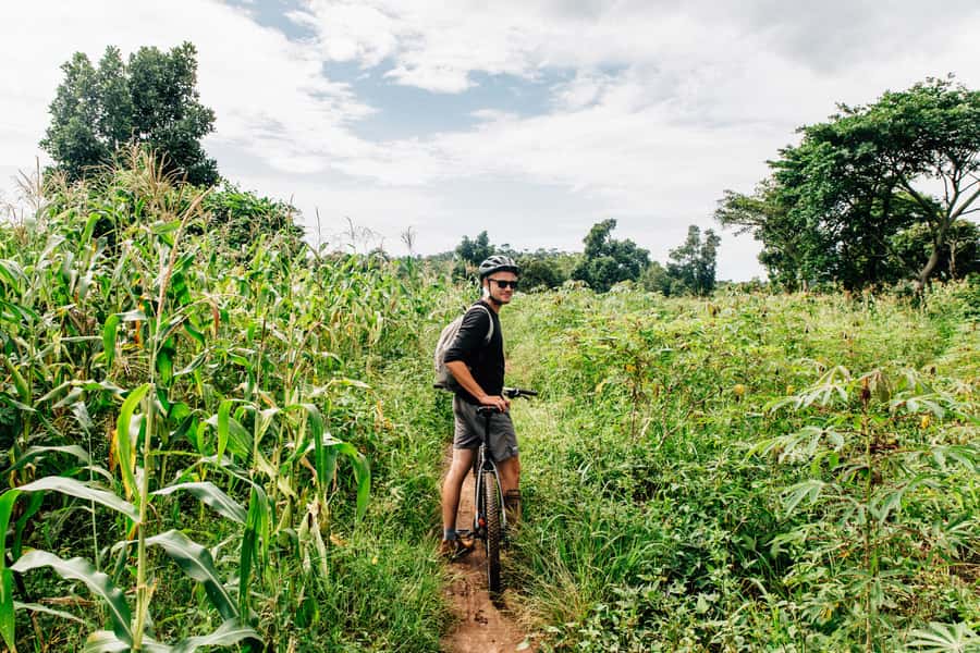 Kampala: Lake Victoria Island Cycling Tour - Should you book the Lake Victoria cycling tour?