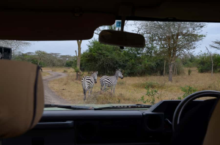Lake Mburo National Park with Equator, Game Drive & Cruise - Two hours on Lake Mburo