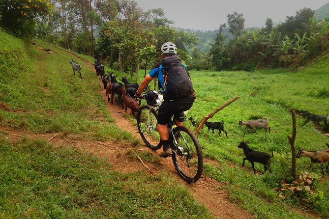 Lake Victoria Island Cycling Tour from Kampala - The white-sand beach and a simple refreshment