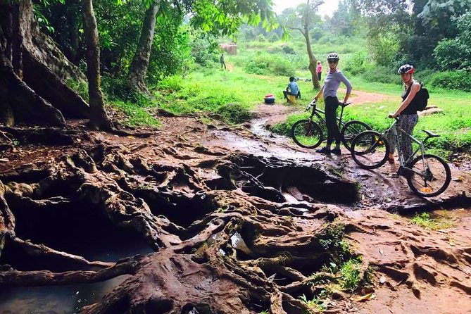 Lake Victoria Island Cycling Tour from Kampala - Weather, clothing, and timing