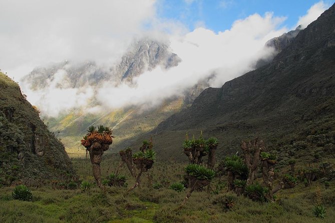 Mountain Rwenzori Trekking Uganda 9 Day Safari - Bigo Bog and Lake Bujuku