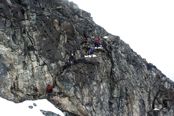 Mountain Rwenzori Trekking Uganda 9 Day Safari - Scott Eliot Pass and Elena Hut