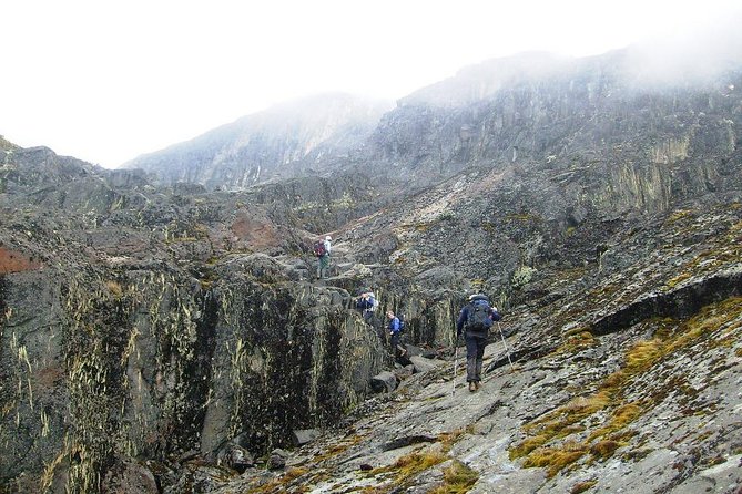 Mountain Rwenzori Trekking Uganda 9 Day Safari - Margherita Peak and the Margherita Glacier
