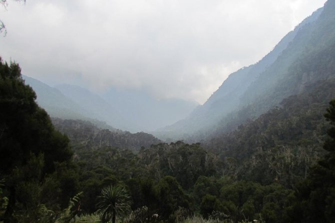 Mountain Rwenzori Trekking Uganda 9 Day Safari - Returning through the Mubuku River valley