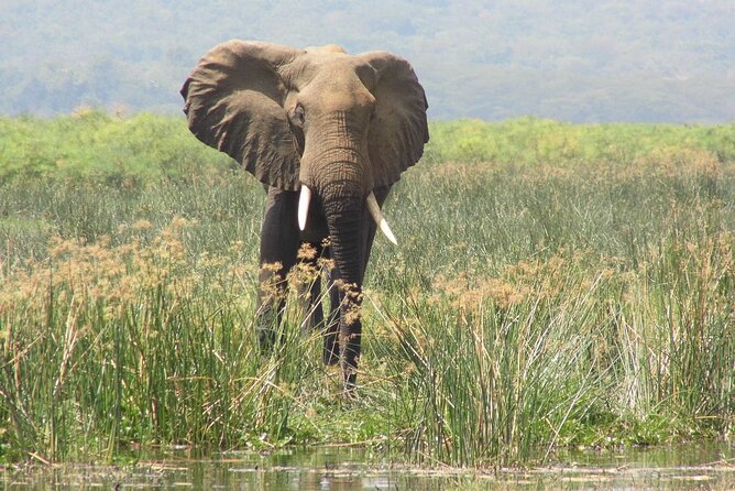 Murchison Falls 2 Days Game Safari (4 people Minimum required) - The first night and an important itinerary check