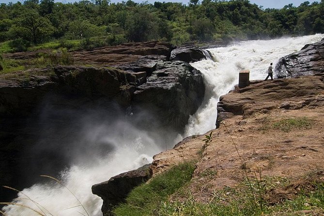 Murchison Falls National Park - 3 Days - Why Murchison Falls makes a strong three-day safari