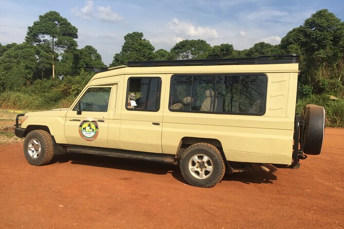 Murchison Falls National Park - 3 Days - Day three: the top of Murchison Falls and the return south
