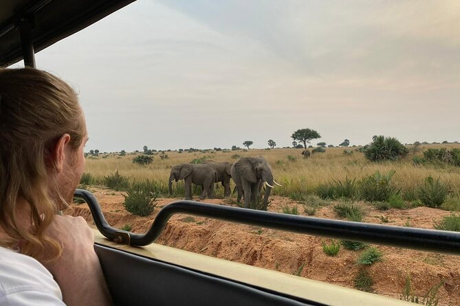 Murchison Falls National Park - 3 Days - Day one: the long road north and Ziwa rhinos