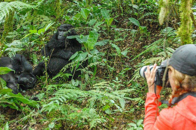 Private 3 Day Gorilla Trekking Safari in Uganda - A Batwa visit adds a human side to the forest