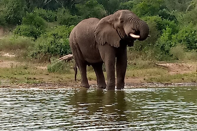 Private 3-Day Tour in Queen Elizabeth Park Safari - What the three days really give you