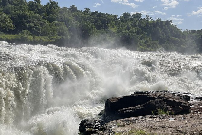 Private 5-Day Kidepo Valley and Murchison Falls National Parks - Day 2: Kidepo Valley and the buffalo spectacle
