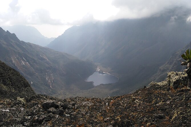 Rwenzori Mountains Trekking with Margherita Peak Summit - Day 4: Groundsel Gully and the climb to Elena Hut